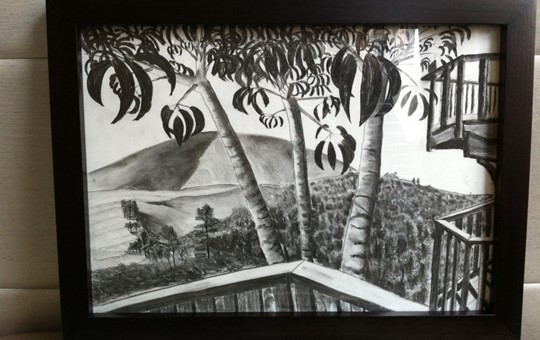 Ryan's spot, charcoal on paper